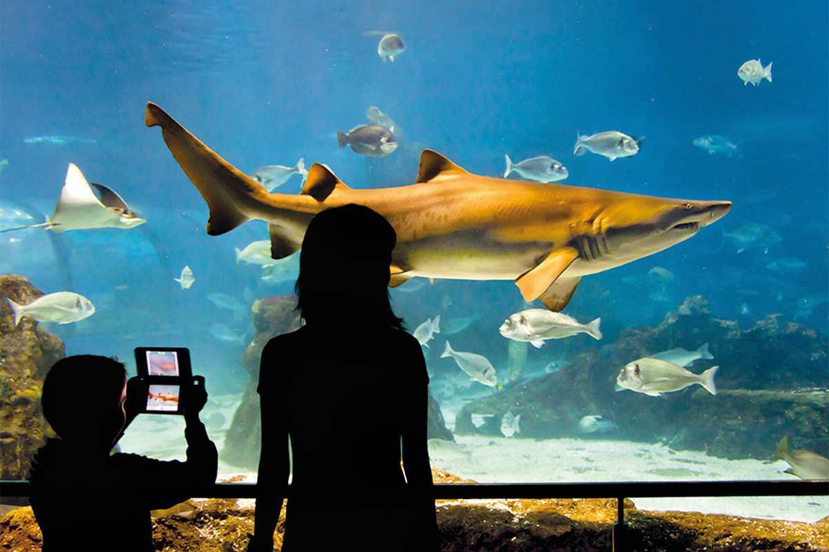 Acquario di Barcellona